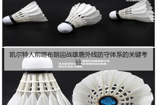 凯尔特人前瞻布朗迎战雄鹿外线防守体系的关键考验